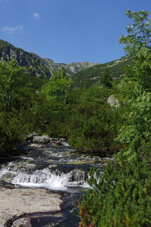 Studio Livia Vysoké Tatry 외부 사진