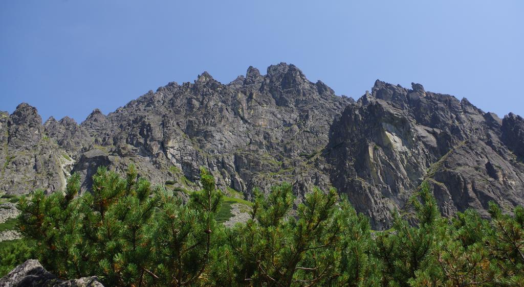 Studio Livia Vysoké Tatry 외부 사진